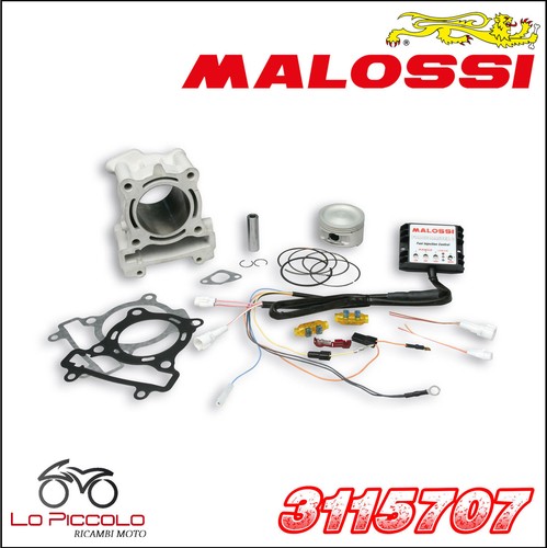 3115707 malossi gruppo termico - 3115707,