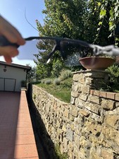 occhiali da sole uomo oakley