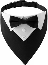 Papillon per Cani, Bandana per