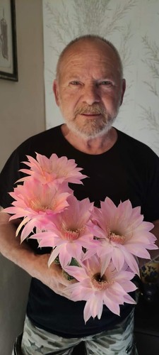 Echinopsis-TRICHOCEREUS
