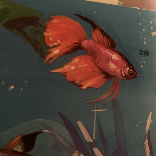 Figurina 218 mondo - n.218, degli