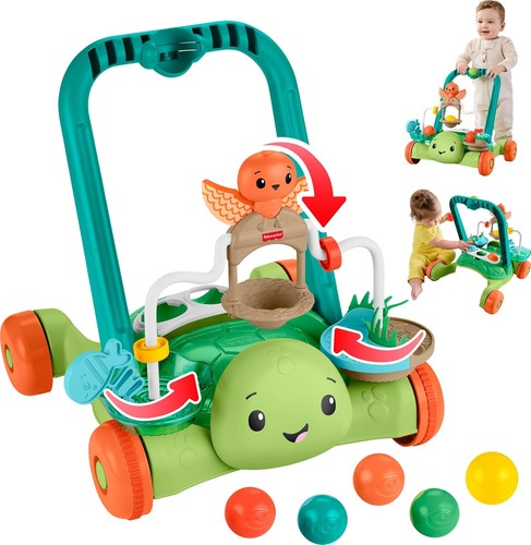 Fisher price jkd63 tartaruga - fisher,