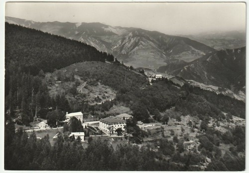 Foresta campigna forli - di,