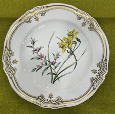 Piatto Spode Fine Bone China England Stafford Flowers Narcissus Y8519 cm.23
