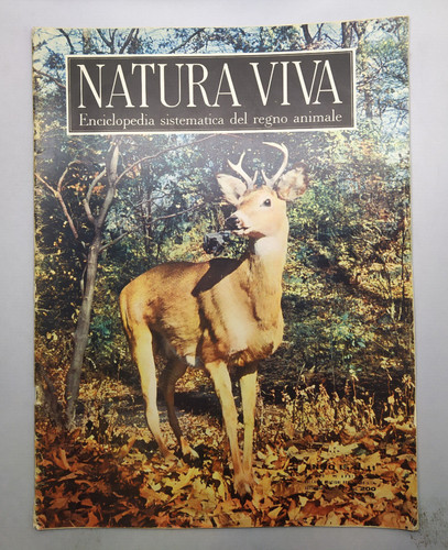 Natura viva enciclopedia - viva,