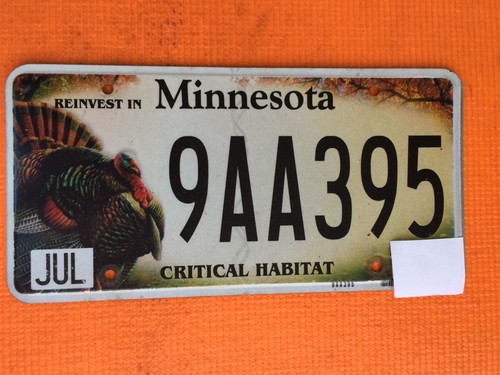 Minnesota targa scaduta - minnesota,