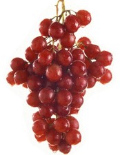 Pianta uva vite innestata - di,