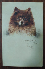 9956 CARTOLINA CANE VOLPINO DI POMERANIA TOY by M. West Watson 1917