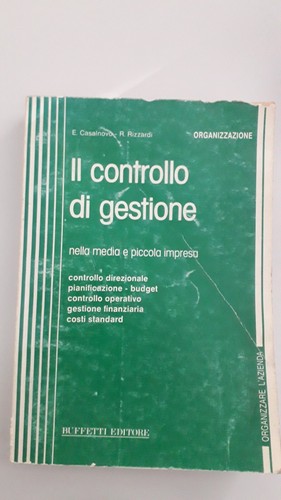 Controllo gestione - il,