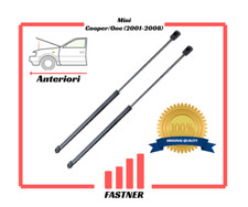 Coppia Ammortizzatori Gas