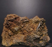 Raro jack straw limonite dopo - jack,