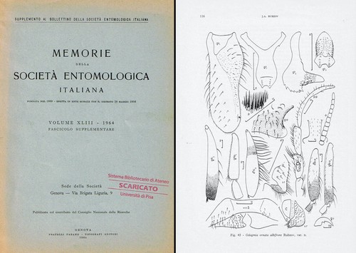 Entomologia simuliidae - entomologia:,