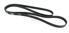 Cinghia poly per jaguar - poly-v,