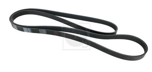 Cinghia poly per jaguar - poly-v,