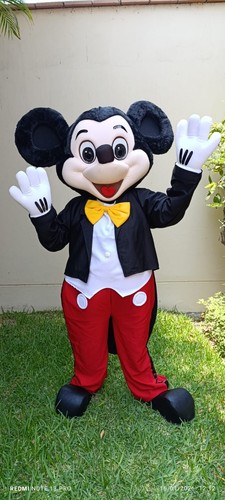 Costume mascotte personaggio - costume,