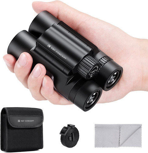 10x25 binocolo professionale - 10x25,