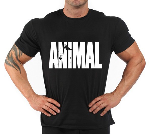 Shirt bodybuilding fitness - t-shirt,