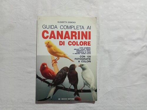 Elisabetta gismondi guida - elisabetta,
