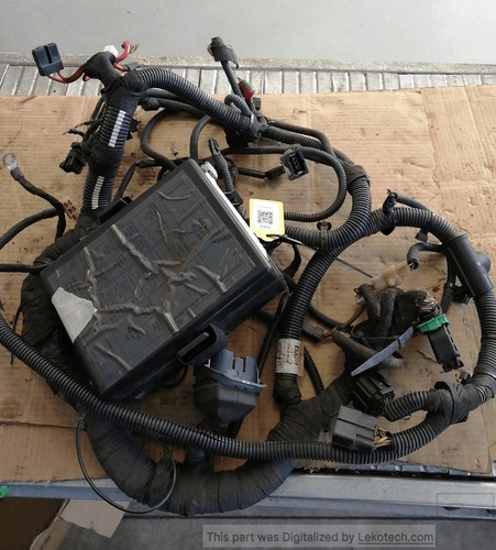 Cablaggio servizi motore tata - servizi,