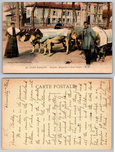 Vintage phototypie postcard - vintage,