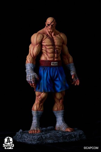 Statua sagat street - sagat, ii