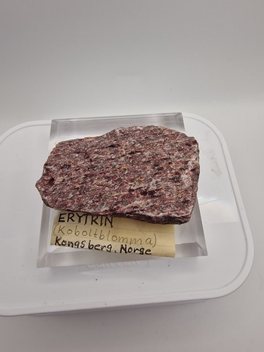 Eritrina kongsberg - eritrina, da