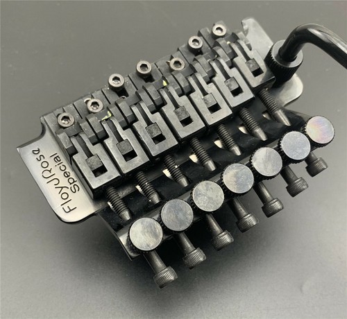 Floyd rose frtsss4000 - rose,