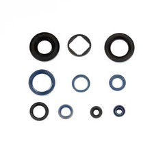 Serie Paraoli Motore Athena