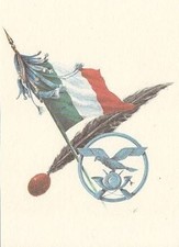 A5007) ALPINI, CARTOLINA CON IL FREGIO METALLICO PER BASCO, PENNA E TRICOLORE.
