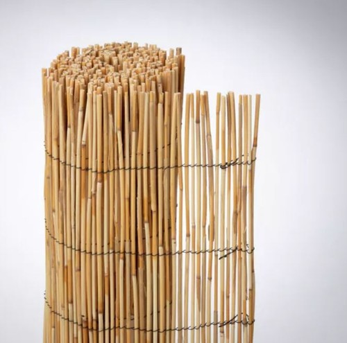 Arella bambu varie misure - varie,