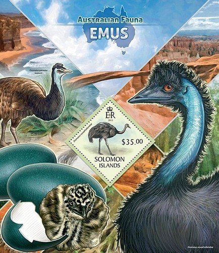Australia emus emu birds bird - emu, birds/bird