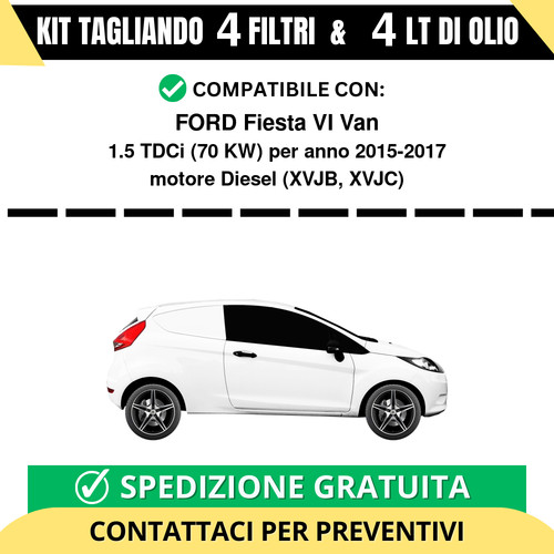 Tagliando per ford fiesta - tagliando, vi