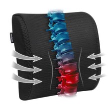 Memory Foam Back Cushion