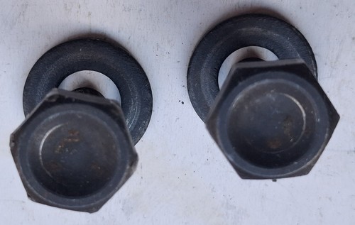 Coppia bulloni per fissaggio