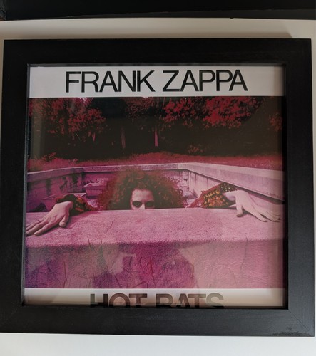 Hot rats frank - hot, zappa