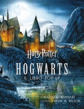 HARRY POTTER. HOGWARTS. IL