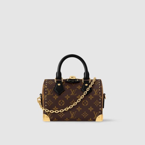 Louis vuitton speedy - baule, 20