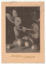 1959 foto cartolina d'epoca coniglio peluche cesto uova auguri di Pasqua Ostern
