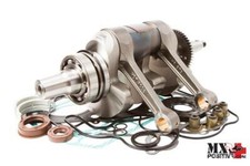 KIT REVISIONE MOTORE POLARIS
