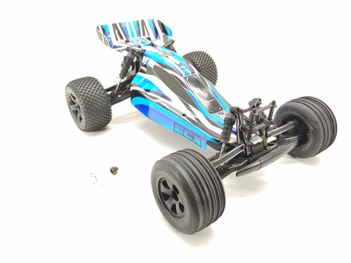 Ecx amp 2wd buggy - 1/10, buggy/stadio