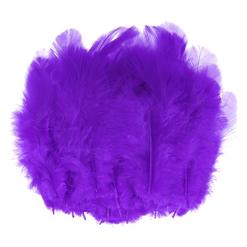 Piume per artigianato viola - piume,