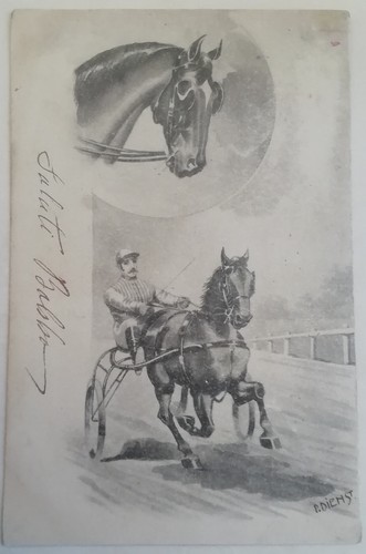 Cartolina cavallo corsa trotto - corsa,