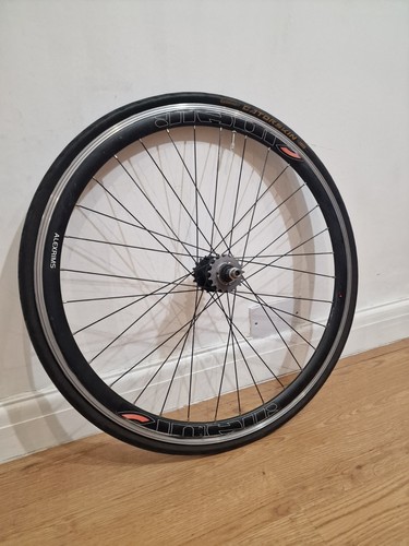 Ruota compatibile tubeless