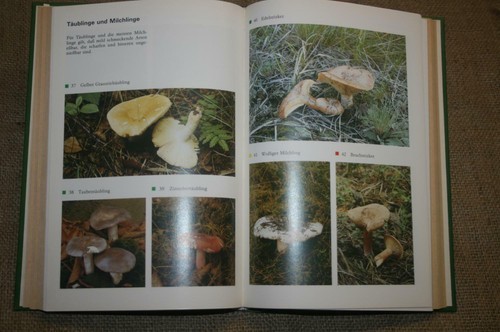 Libro cucina ddr funghi 200 - di,