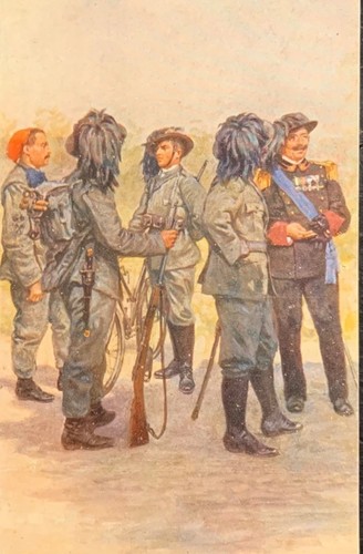 Cartolina militare esercito - -,