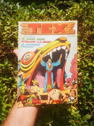 Tex albo oro - albo, (quinta)