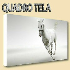 QUADRI MODERNI TELA XXL 200X125  CAVALLO BIANCO PONY WHITE ARTE ARREDO CAVALLERI