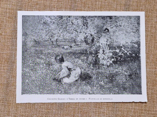 Terra fiore quadro di - terra,
