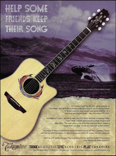 Chitarra acustica takamine - chitarra,