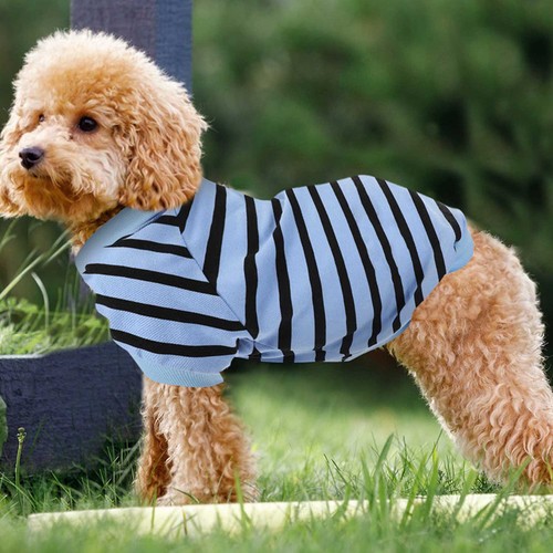 Abbigliamento per cani camicia - abbigliamento,